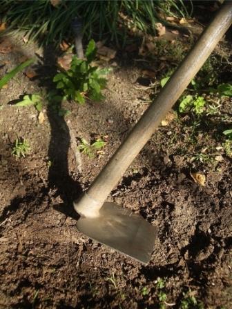 Garden  on Garden Hoe Is Used To Soften And Break Up The Top 4 Inches Of Your